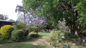 Frogmouth Farm - Image 4