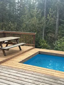 Private Forest Spa Retreat: Sauna, Hot Tub & Pool - Image 4