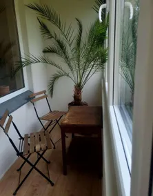 S1 Vilnius - Image 4