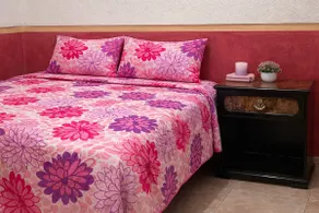 Apartment in Tecamachalco “Patita de conejo” - Image 3