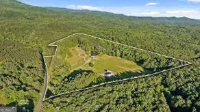 Willow Downs - 42 Acre Mountain Meadow Retreat - Image 5