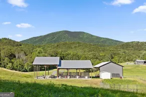 Willow Downs - 42 Acre Mountain Meadow Retreat - Image 3
