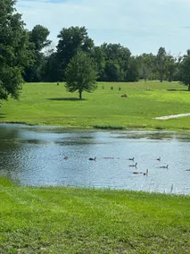 Pleasant Hill Acreage, Fishing Pond, 3-Car Garage - Image 2