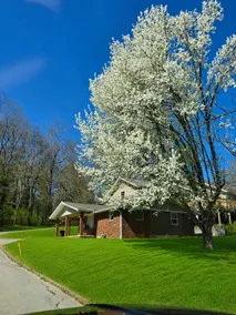Newly Renovated, Entire Home, 3BR, Near Lake - Image 3