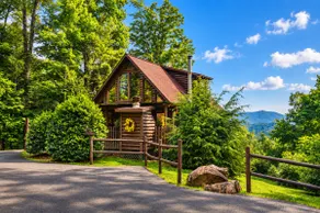 Songbird- Mountain Top Views - Ultimate Privacy - Image 2