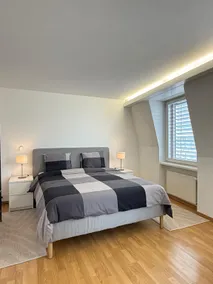 Cozy City Apartment near Lake & Opera - Image 5