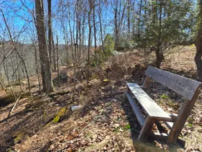 Anglers Ridge Buckhannon River Log Cabin 140 Acres - Image 4