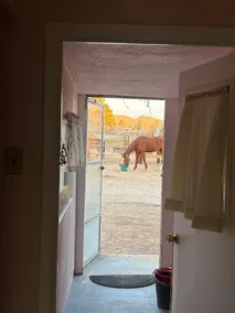 Comfy horse sanctuary guesthouse - Image 4