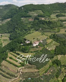 Stunning apartment on the Valpolicella's hills - Image 5