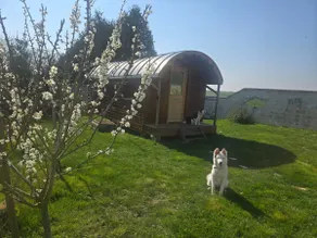 Gîte La Roulotte de l’Épine, unique accommodation - Image 5