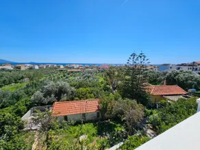 Lemon Nest - Image 4