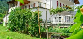 743a Apartments Rogginer | Lagrein - Image 3