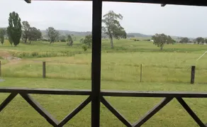 Rustic Farm Stay in the heart of gold country - Image 5
