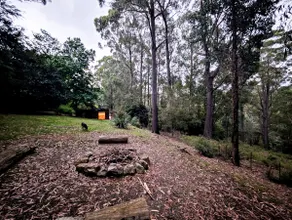 Discreet Drift Warburton - Image 4