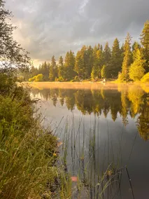 Birdsong lakeside serenity retreat - Image 5
