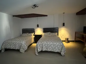 NEW LOFT, one block from IMSS Clinic 71 - Image 2