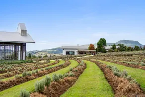 Kooroomba Lavender Villa – Unit 4 Romantic Escape - Image 5