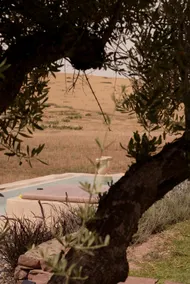 Berber house, private pool, Atlas view - Image 5