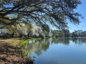 Lake Park Lux - Image 4