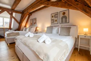 Spacious Apartment in Central Basel near Rhine - Special TOP LUX 42 Apartment, Basel, up to 6 guests - Image 3