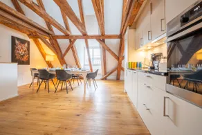 Spacious Apartment in Central Basel near Rhine - Special TOP LUX 42 Apartment, Basel, up to 6 guests - Image 2