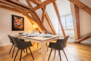 Spacious Apartment in Central Basel near Rhine - Special TOP LUX 42 Apartment, Basel, up to 6 guests - Image 5
