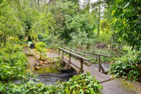 Fern Creek Cottage- peaceful creekside setting - Image 3