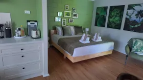 Botanica Studio - Rainforest homebase - Image 4