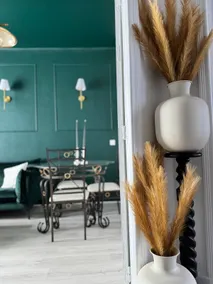 Haussmann style Apartment Nancy City Center Absolute Luxury - Image 3
