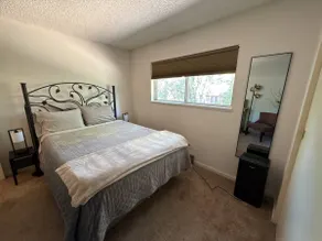 Springwater Retreat: Relax in quit comfort - Image 4