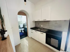 Vrtek Apartment - Image 4