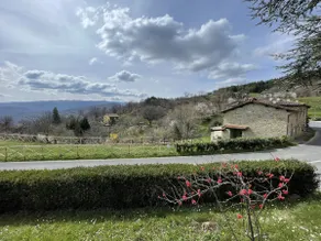 L'Orto di Scarpaccia - Image 2