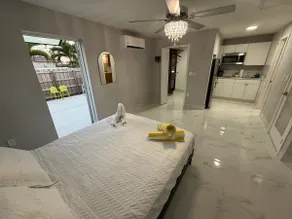 Private Mini Suite Miami - Image 3