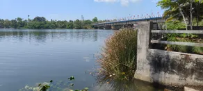 Home at Confluence of Periyar and Manjali Rivers - Image 4