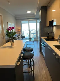 Cozy stylish new 2 bed 2bath condo - Image 3