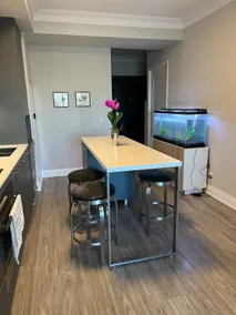 Cozy stylish new 2 bed 2bath condo - Image 5
