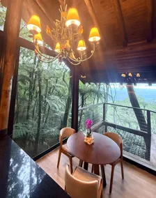 Araucária Glass Cabin near Gramado, RS - Image 2