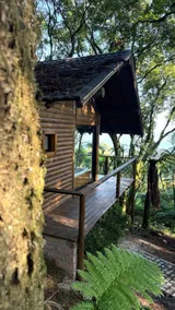 Araucária Glass Cabin near Gramado, RS - Image 3