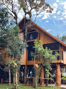 Ninho dos Pássaros Treehouse Cabin - Image 4