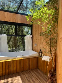 Ninho dos Pássaros Treehouse Cabin - Image 5