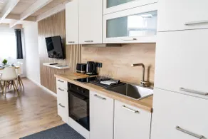 KMS Homes 10 - Modern • near Legoland Günzburg - Image 4