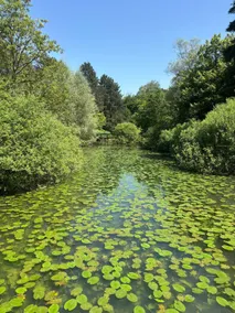 Love & Match – Romantic Chalet: Pond & Tennis Court - Image 4