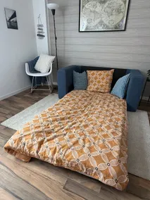 Alsatian Nest: Cozy & Air-Conditioned - Image 4