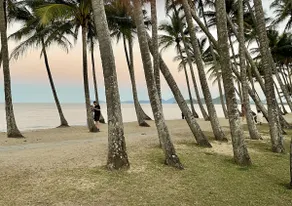 Drift Palm Cove - Image 4