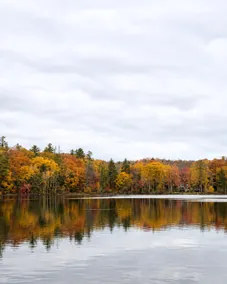 Cozy Lakefront Home | Kayaks | Near Boyne Mountain - Image 4