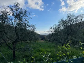 Villa i Pini - Image 4