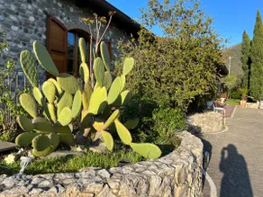 Villa i Pini - Image 5