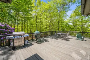 DuPont Mountain Lodge: 28 Private Acres + Sauna - Image 4