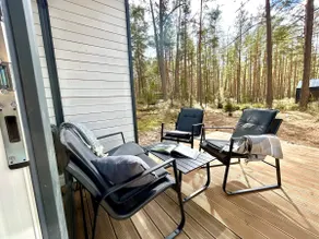 Silver firs - Image 4