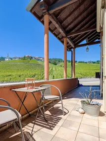 Apartment, garden, in the heart of the Féchy vineyards - Image 4